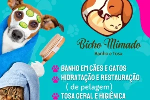 Bicho Mimado Banho e Tosa - Cesário Lange Foto (17)
